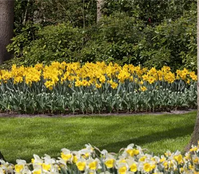 Das richtige Blumenbeet für den eigenen Garten